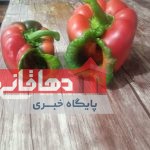 فلفل دلمه ای هایی درحال فریاد زدن